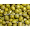 Sprouting Green Mung Beans 2015 Crop Supplying