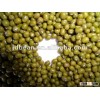 Well selected small green mung bean