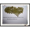 Corp 2012 Well Choose Green Mung Bean Machine Pick