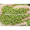 HPS quality Green mung beans For Sprouting