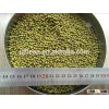 hot sales polished grade Green mung beans for sale