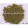 2.5mm-3.5mm Green mung beans small size for sprouts