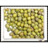 Well Choose Green Mung Bean MP new corp for food