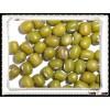 Hot Sale crop 2012 Green Mung Bean for human