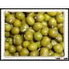 High Quailty New crop Green Mung Bean MP