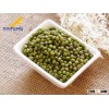 New Crop Green Mung Bean with best quality and best price
