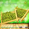 JSX Grade A High Quality Green Gram /Moong Dal