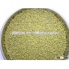 superior quality Green mung beans bulk sales