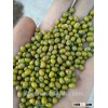 2016 crop Green mung beans Size3.0mm-4.0mm