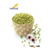 2015 Chinese New Crop Green Mung Bean,Green Mung Bean Seeds for Sprout