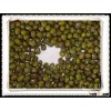 Hot Sale Green Mung Bean Machine Pick for food