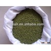 green mung beans For Food (Vigna radiata)