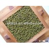 Crop 2014 Green mung beans For Sprouting