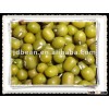 Hot sale Green mung bean for sprouting