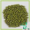 Mung Beans/Whole Moong Dal/Green Mung Beans