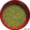 JSX best green mung bean from Heilongjiang favorable price first class price for green mung beans