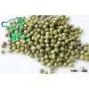 Export Green Mung Beans Agriculture Product