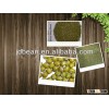 for all size Green Mung Bean MC