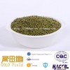 Hot Sale crop 2012 Green Mung Bean