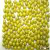 JSX product type green mung bean wholesale best selling dhal