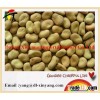 Dried broad beans bulk dry fava beans