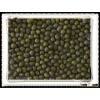 Sprouts Green Mung Bean for sale
