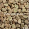 Good price broad beans dried Fava Beans Dry Broad Beans