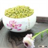 Chinese Green Mung Bean with good quality