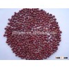 New corp small red kidney bean