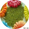 JSX Affordable price Green Moong Bean brand new best selling moong beans