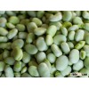 Dried Broad fava Beans Turkish origin