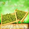 JSX dried green mung bean sellers round dalian Green Moong Bean