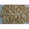 new stock Dried Broad Beans/Fava Beans