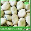 Broad/Fava Beans Qinghai or Gansu Origin