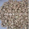 China dry Broad beans fava beans broad beans fava beans price