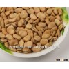 chinese fava bean/faba bean/broad bean