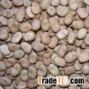 Dry Broad Beans.