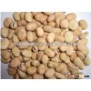 Broad beans fava beans price