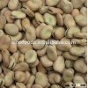 2015 factory wholesale new crop broad beans broad beans uk