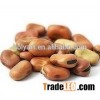 hot sale dry beans