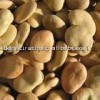 Broad Beans