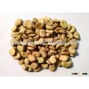 2015 Crop Fava Beans For Sales