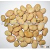 Broad Beans