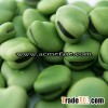 Dry Broad Bean WIth Shell Horse Bean