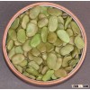 Broad bean or Fava bean