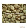 2015 Crop Broad Beans Fava Beans Price
