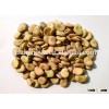 2015 Crop Dried Broad Beans