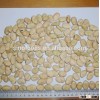 dried Fava Beans For Sale With Cheap Price broad beans export