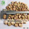 2015 crop Chinese broad beans Qinghai Origin 50-60