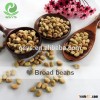 2015 crop Broad beans top quality